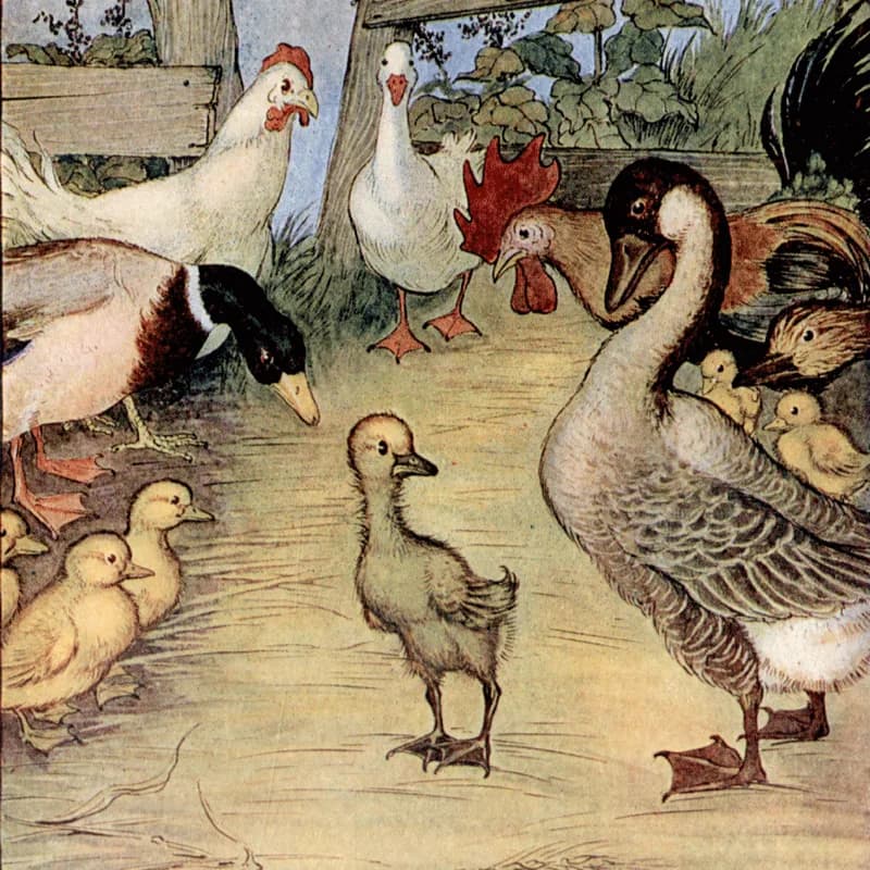 The Ugly Duckling